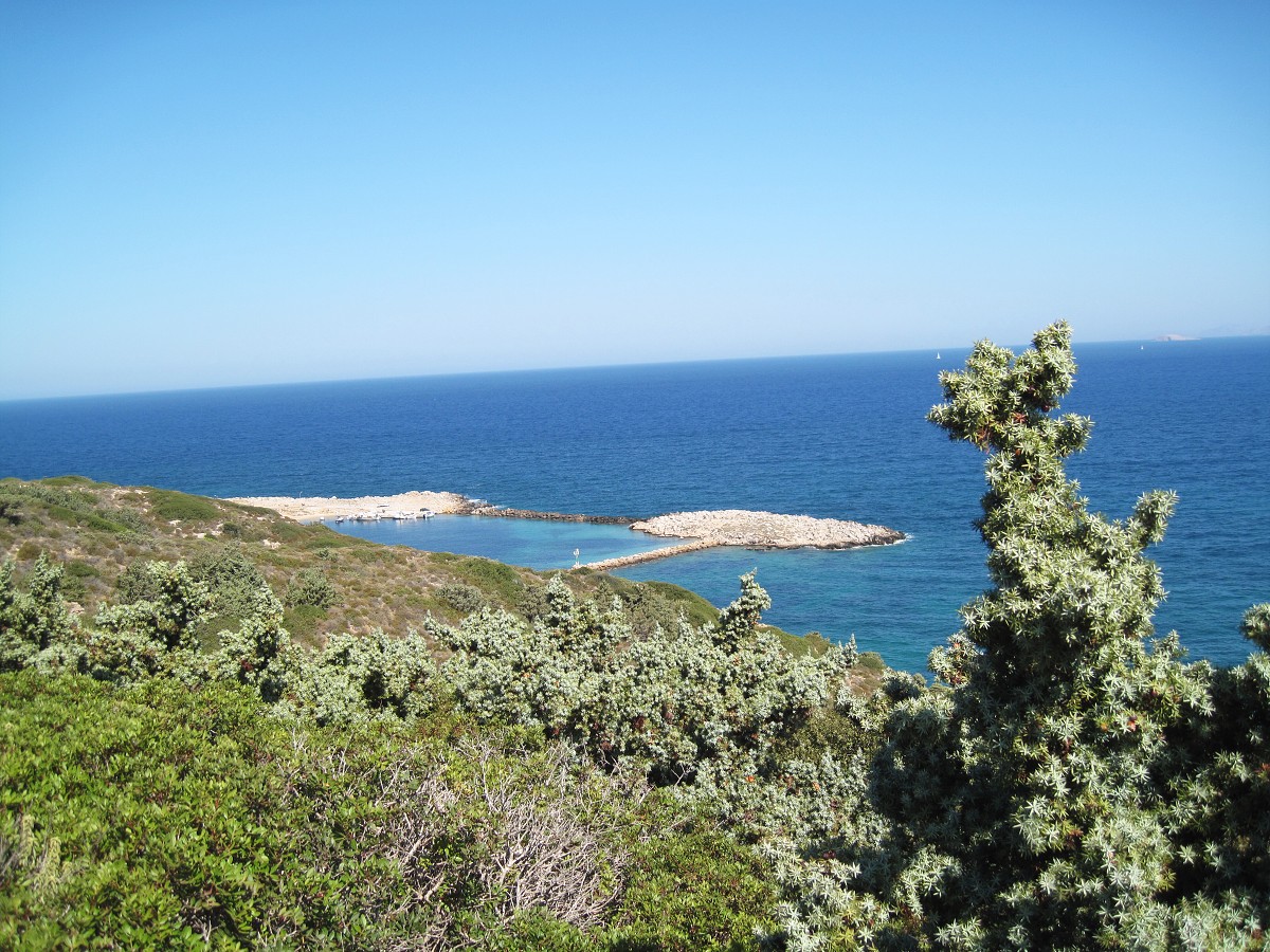 Kos, Kefalos 2011 