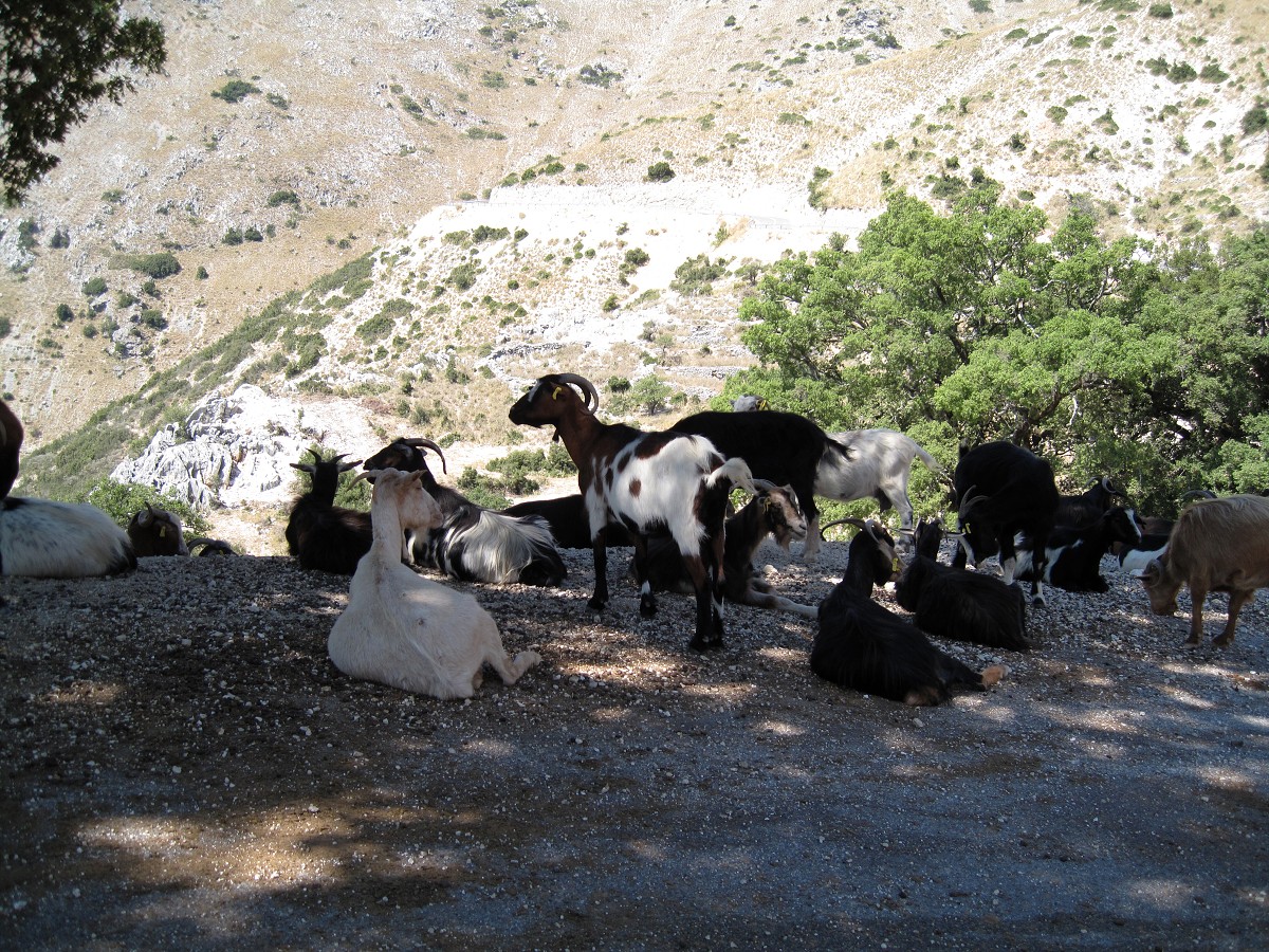 Lefkada 2010