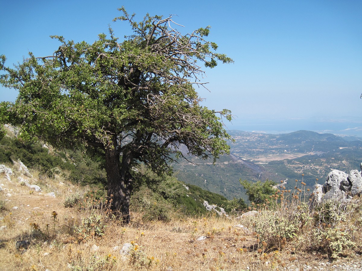 Lefkada 2010