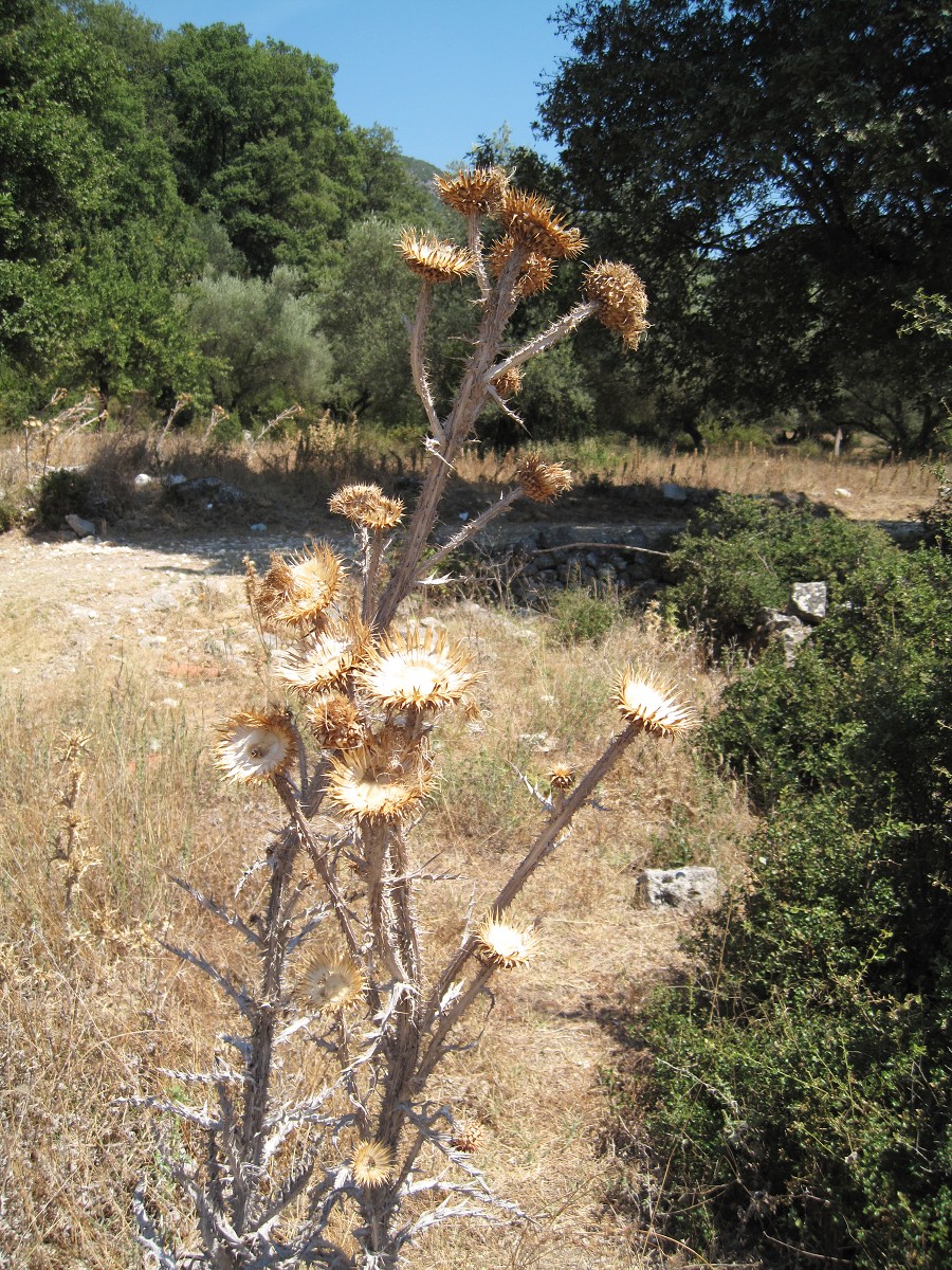 Lefkada 2010