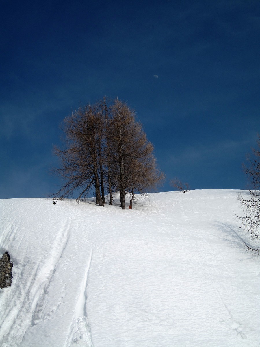 Monte Lussari 04-2009