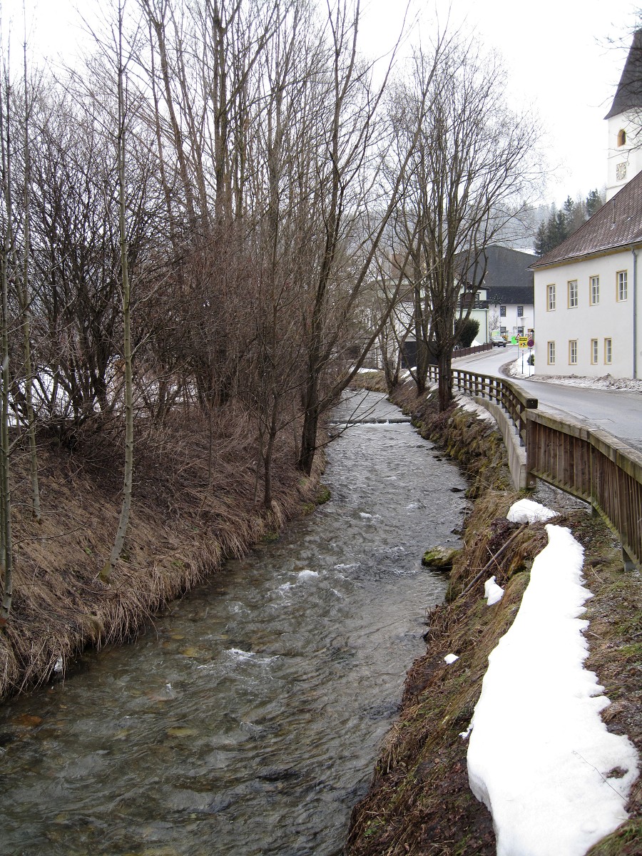 Spital am Semmering 03-2009